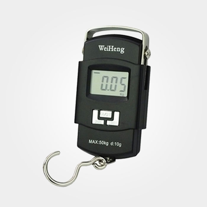 Portable-Electronic-Scale-WH-A08